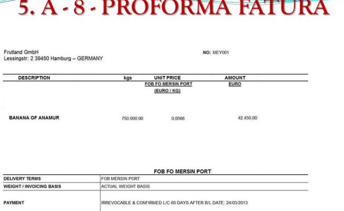 Proforma Fatura Nedir